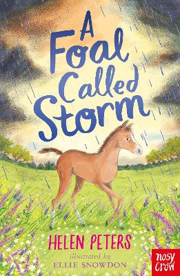 A Foal Called Storm book