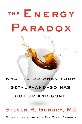 The Energy Paradox: What to Do When Your Get-Up-and-Go Has Got Up and Gone book