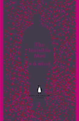 Invisible Man book