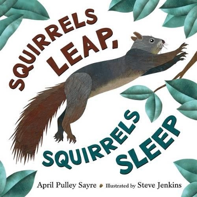 Squirrels Leap, Squirrels Sleep book
