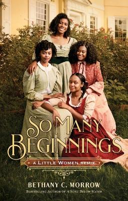 So Many Beginnings: A Little Women Remix book