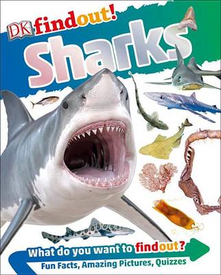 DK Findout! Sharks by DK