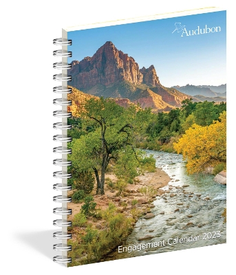Audubon Engagement Calendar 2023 book