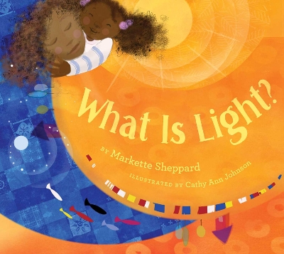 What Is Light? book