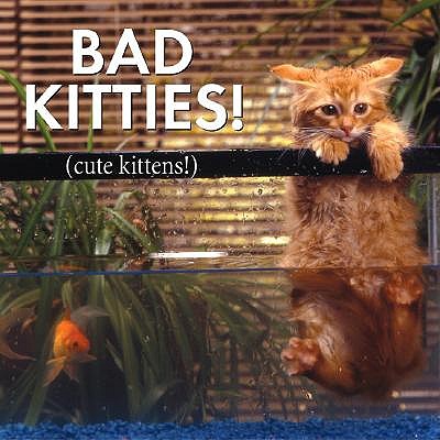 Bad Kitties book