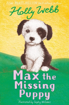 Max the Missing Puppy book