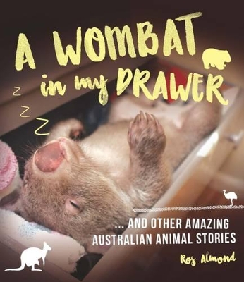 Wombat in My Drawer and Other Amazing Animal Stories book