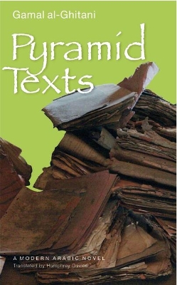 Pyramid Texts book