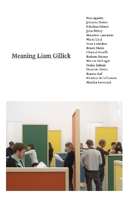 Meaning Liam Gillick book