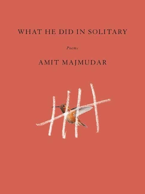 What He Did in Solitary book