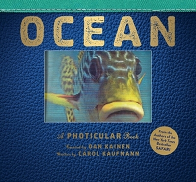 Ocean by Dan Kainen