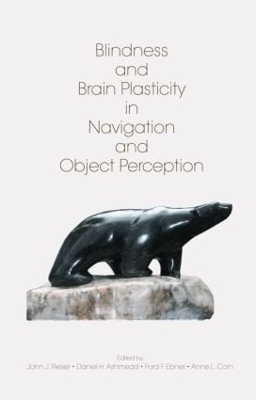 Blindness and Brain Plasticity in Navigation and Object Perception book