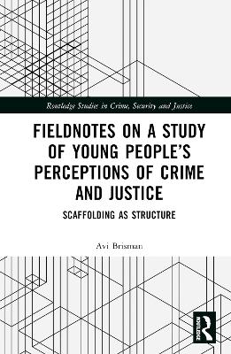 Fieldnotes on a Study of Young People’s Perceptions of Crime and Justice: Scaffolding as Structure book