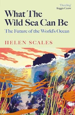 What the Wild Sea Can Be: The Future of the World's Ocean book
