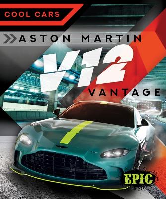 Aston Martin V12 Vantage book