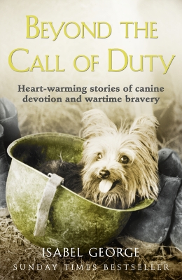 Beyond the Call of Duty book