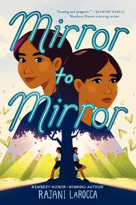 Mirror to Mirror book