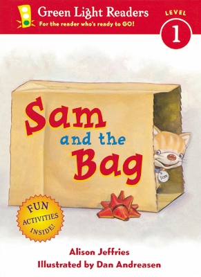 Sam and the Bag book