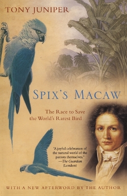 Spix's Macaw book
