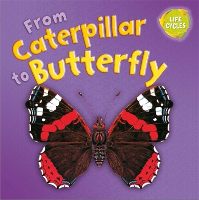 Lifecycles: From Caterpillar to Butterfly book