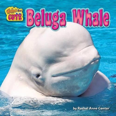 Beluga Whale book