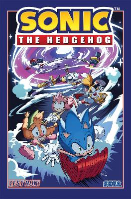 Sonic The Hedgehog, Vol. 10: Test Run! book