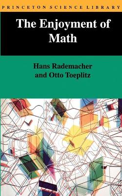 Enjoyment of Math book