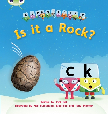 Is it a Rock? book