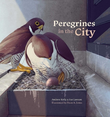 Peregrines in the City book