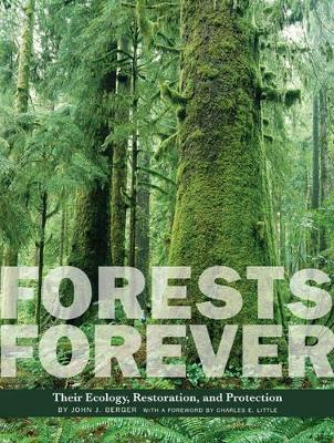 Forests Forever by John J. Berger