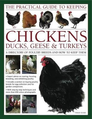 Practical Guide to Keeping Chickens, Duck, Geese & Turkeys book