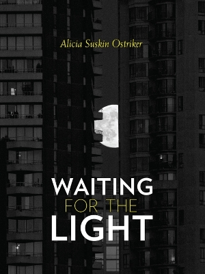 Waiting for the Light book