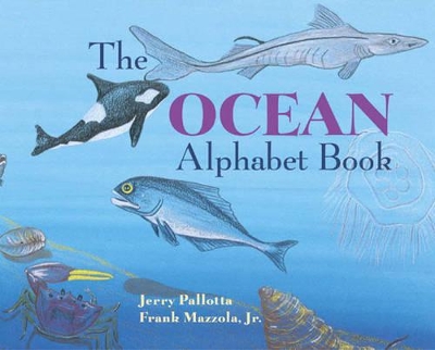 Ocean Alphabet Book book