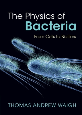 The Physics of Bacteria: From Cells to Biofilms book