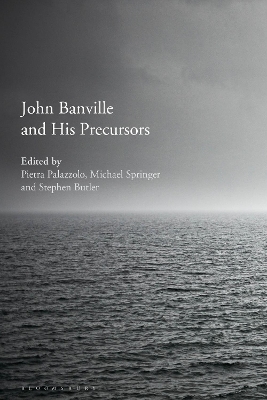 John Banville and His Precursors by Dr Pietra Palazzolo