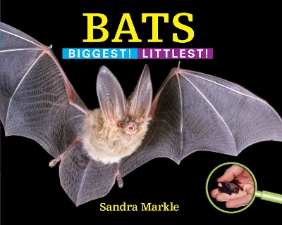 Bats book