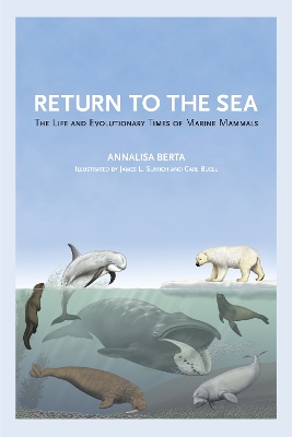 Return to the Sea: The Life and Evolutionary Times of Marine Mammals by Annalisa Berta