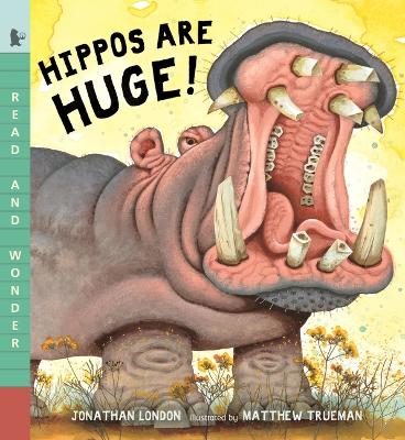 Hippos Are Huge! by Jonathan London