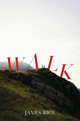 Walk: A Novel book