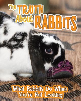 The The Truth about Rabbits: What Rabbits Do When You're Not Looking by Mary Colson