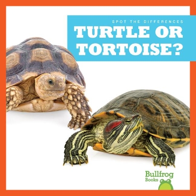 Turtle or Tortoise? by Jamie Rice