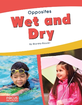 Wet and Dry by Brienna Rossiter