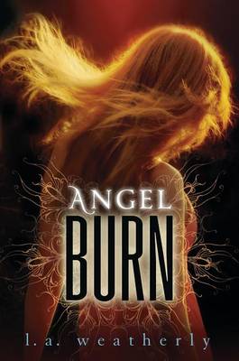 Angel Burn book