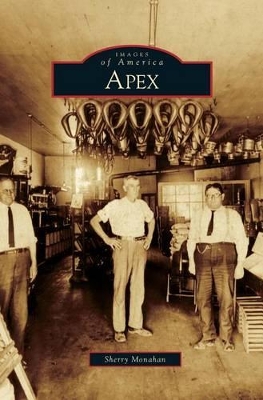 Apex book