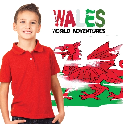 Wales by Harriet Brundle