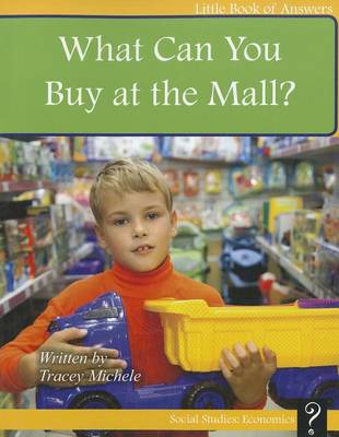 What Can You Buy at the Mall? book