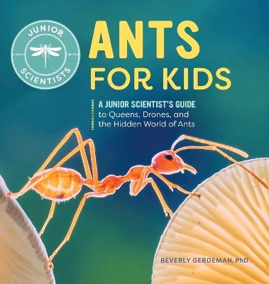 Ants for Kids by Beverly Gerdeman PhD