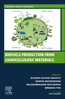 Biofuels Production from Lignocellulosic Materials book