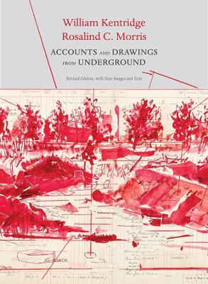 Accounts and Drawings from Underground: The East Rand Proprietary Mines Cash Book book