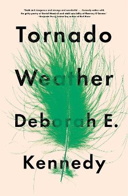 Tornado Weather book